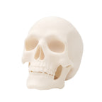 PLA+ Matte Bone White